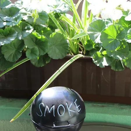 Szarotka Ii アパート